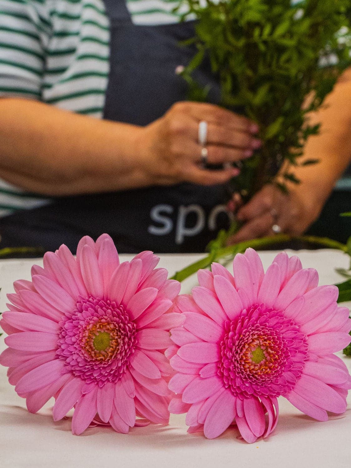 Růžové gerbery na pracovním stole, v pozadí floristka Květiny spolu při práci